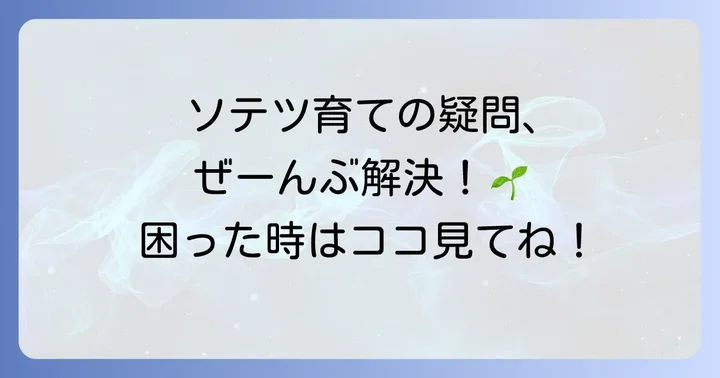 ソテツ栽培でよくある疑問を解決!