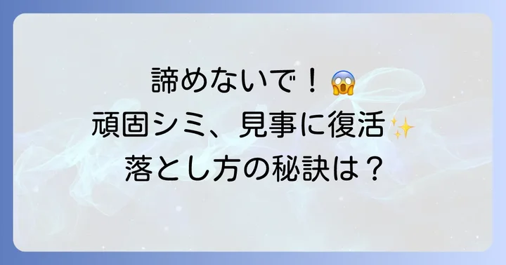 頑固な鳥のフンのシミを落とす効果的な方法