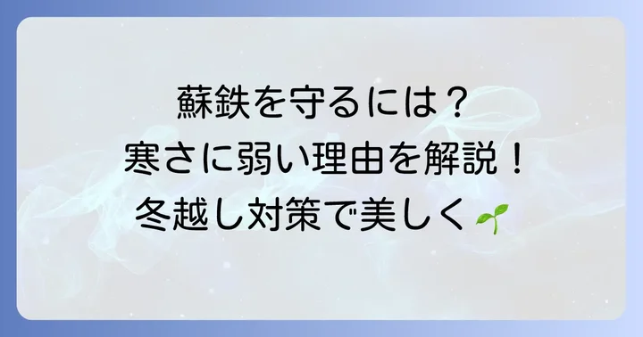 蘇鉄の冬越しが大切な理由とは？寒さに弱い蘇鉄を守る必要性