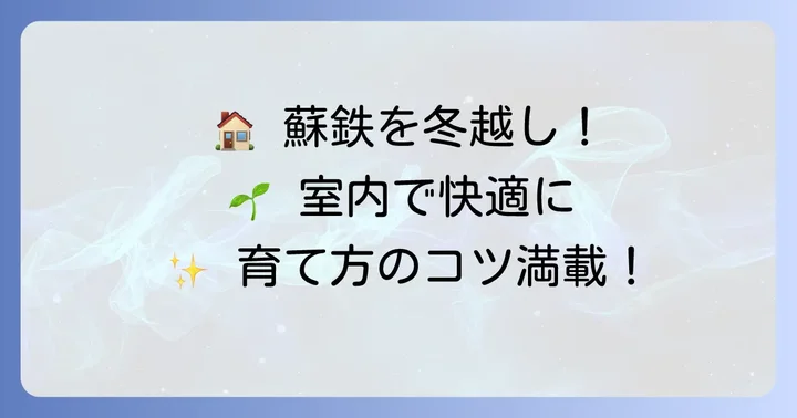 室内で蘇鉄を冬越しさせる方法と快適な環境づくり