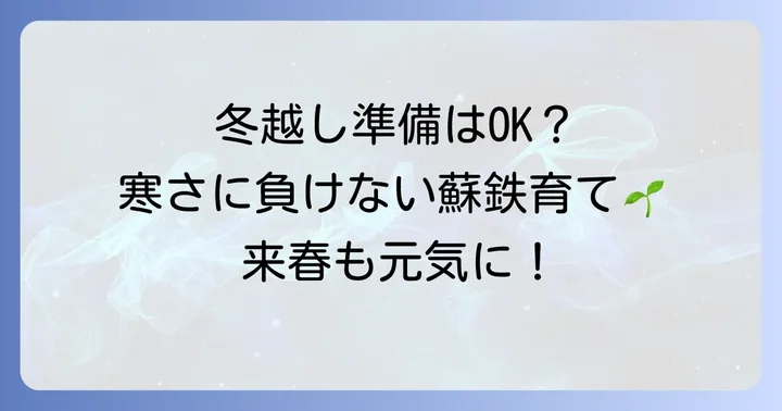 蘇鉄の冬越し前に準備すべきこと