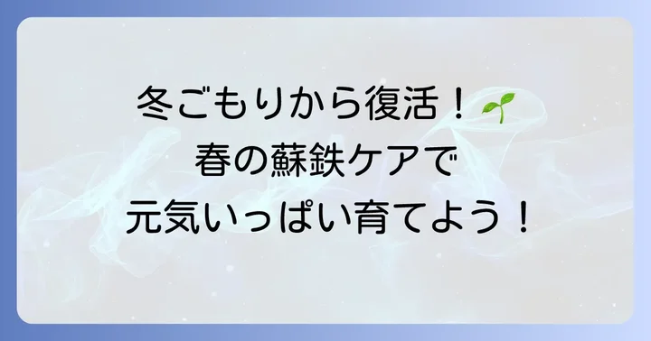 冬越し後の蘇鉄のケアと春に向けた準備