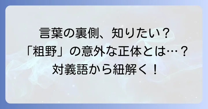 「粗野」の対義語で言葉の理解を深める