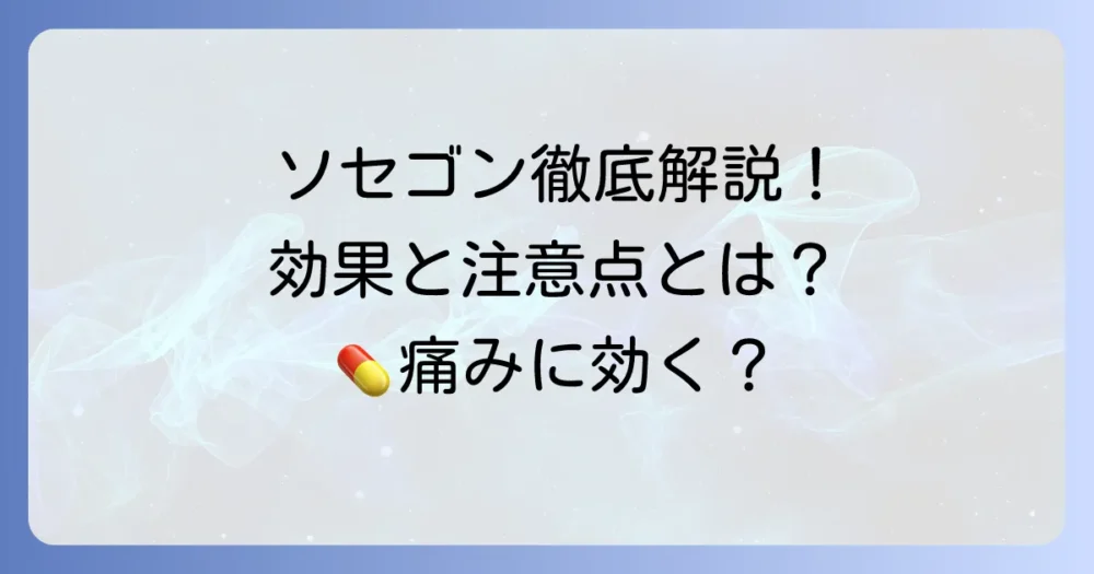 ソセゴンの使い方を徹底解説！効果的な服用方法と注意点