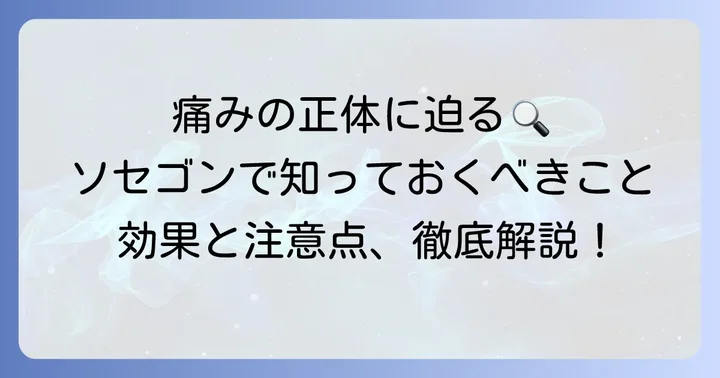 ソセゴンとは？痛みを和らげる仕組みを理解する