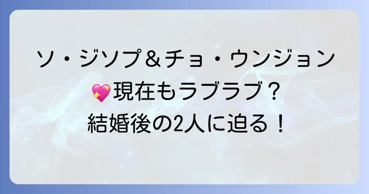 夫婦の現在と今後の活動