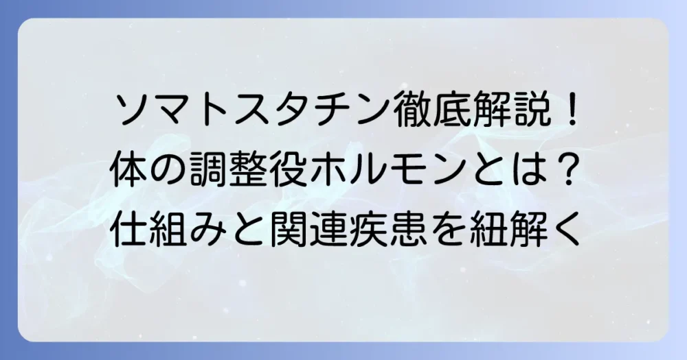 ソマトスタチンの分泌場所と働きを徹底解説！体の調整役ホルモンの全て