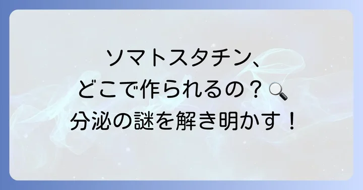 ソマトスタチンはどこで分泌される？主要な分泌場所