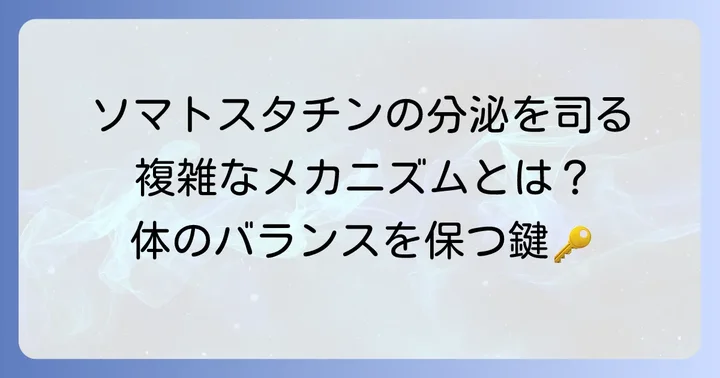 ソマトスタチンの分泌が調整されるメカニズム