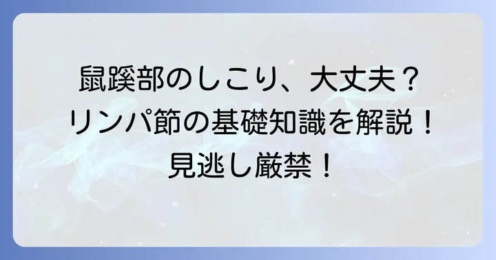 鼠蹊部リンパ節腫脹とは？その基本的な知識