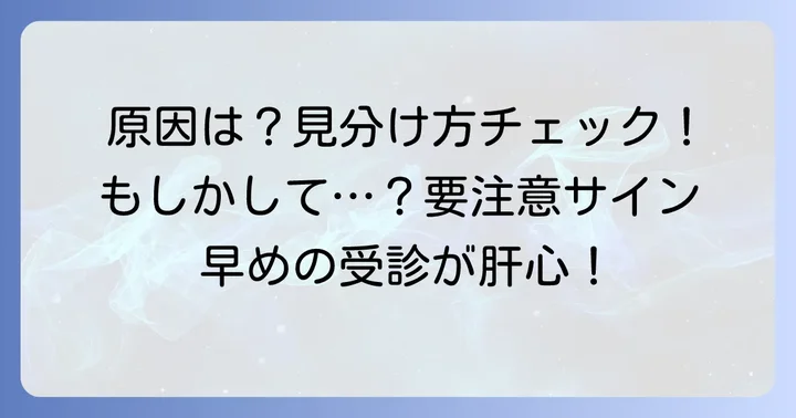 鼠蹊部リンパ節腫脹の主な原因と見分け方