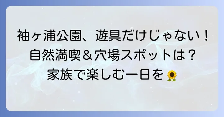 遊具以外も充実！袖ヶ浦公園の楽しみ方