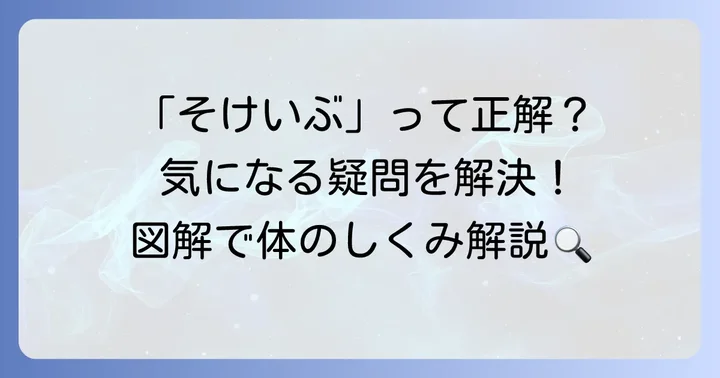 鼠径部に関するよくある疑問を解決