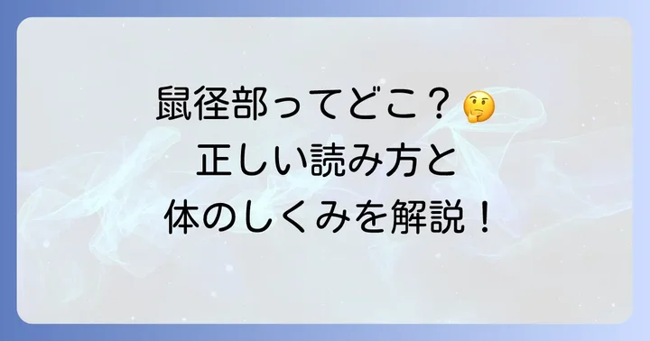 鼠径部に関するよくある質問