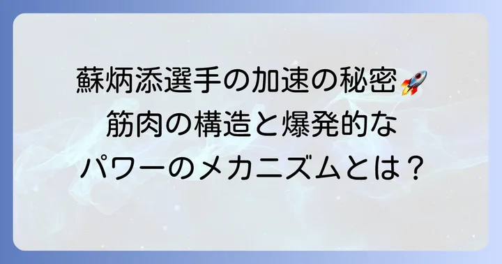 蘇炳添選手の速さの秘密は筋肉にあり！爆発的な加速を生むメカニズム