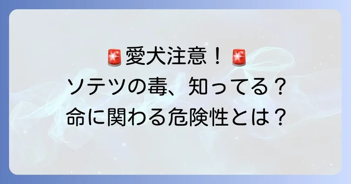 ソテツの実は犬にとってなぜ危険なのか？その毒性と症状