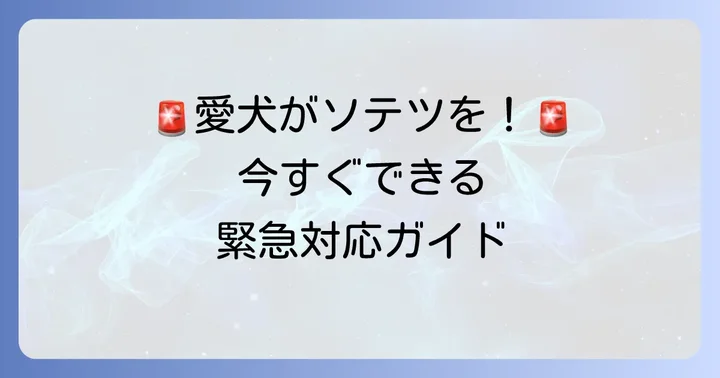 犬がソテツの実を食べてしまったら？緊急時の対処法