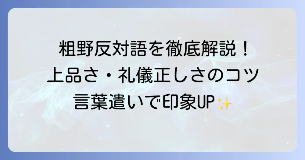粗野の反対語を徹底解説！上品さや礼儀正しさを身につける方法
