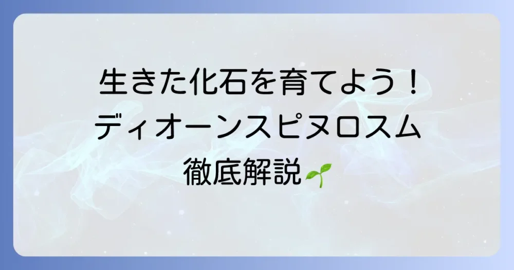 ディオーンスピヌロスムの育て方を徹底解説！初心者でも安心の管理方法