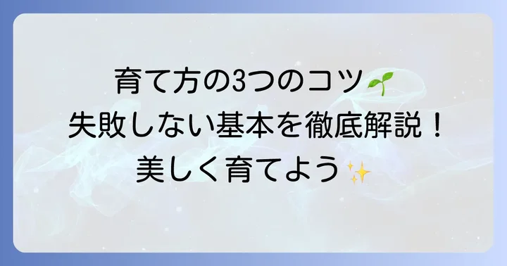 ディオーンスピヌロスムの基本的な育て方