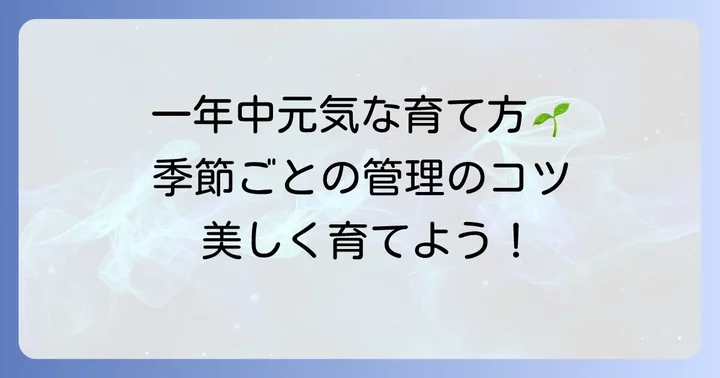 季節ごとの管理：一年を通して元気に育てる