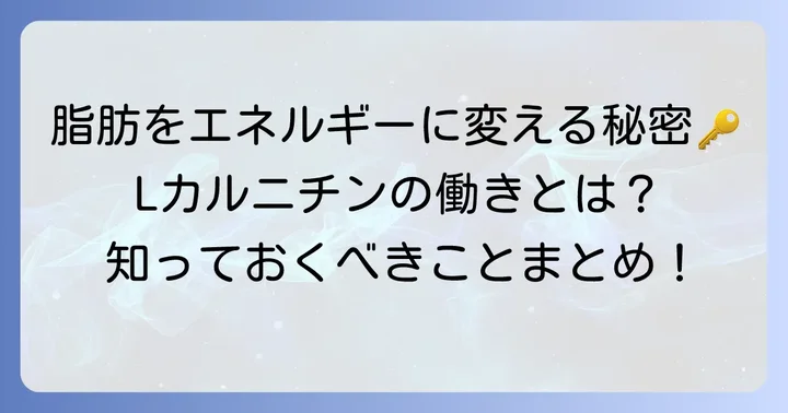Lカルニチンとは？その働きと体への影響