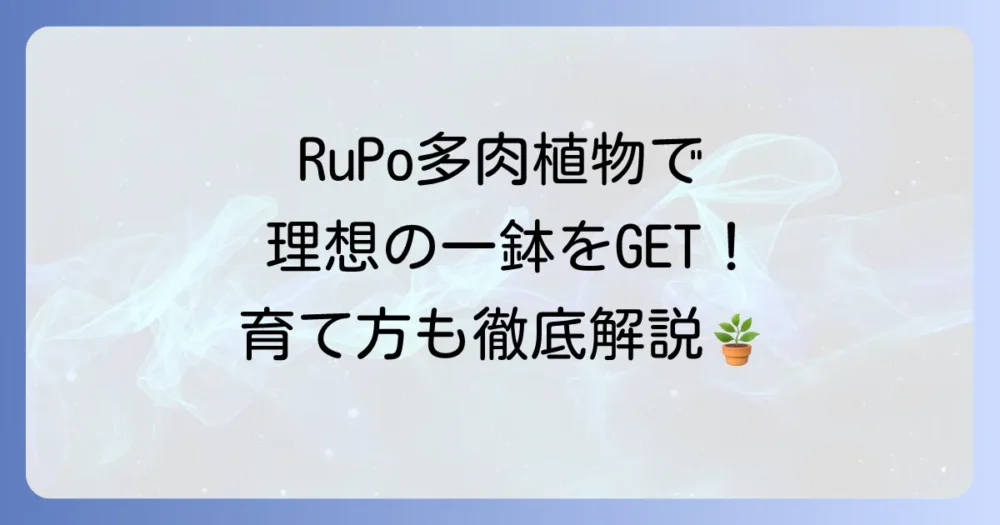 RuPo多肉植物専門店ルポカクタスガーデンで理想の一鉢を見つける！選び方から枯らさない育て方まで