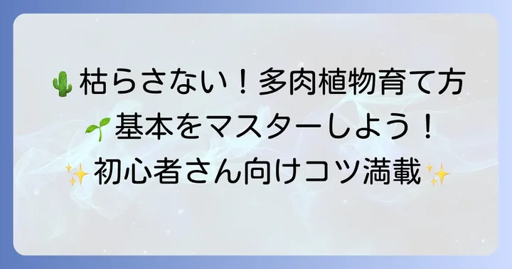 多肉植物を枯らさない！基本の育て方と管理方法