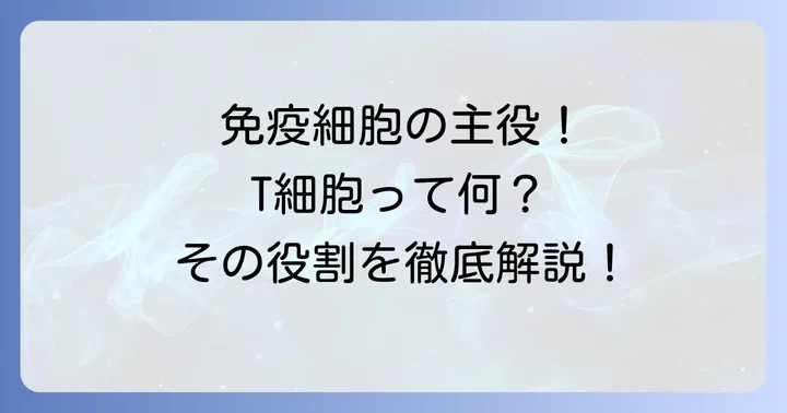 T細胞とは？免疫機能における重要な役割