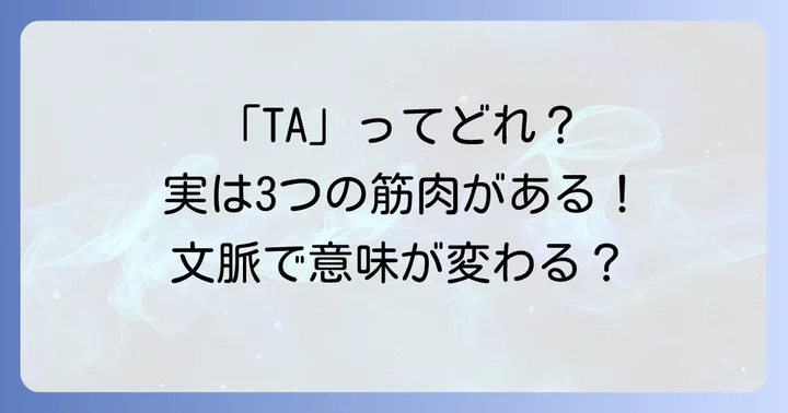 「TA」が指す筋肉は複数ある？略語の背景と注意点