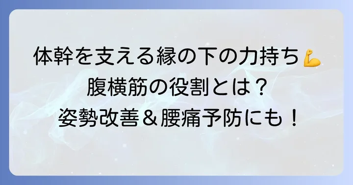 体幹の安定を担う「腹横筋（Transversus Abdominis muscle）」の重要性