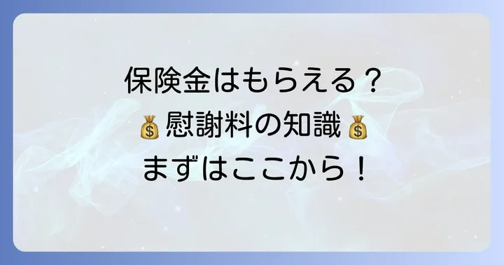 交通事故後の保険手続きと慰謝料の基礎知識