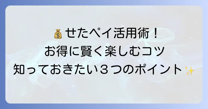 せたペイ加盟店で賢くお得に利用するコツ