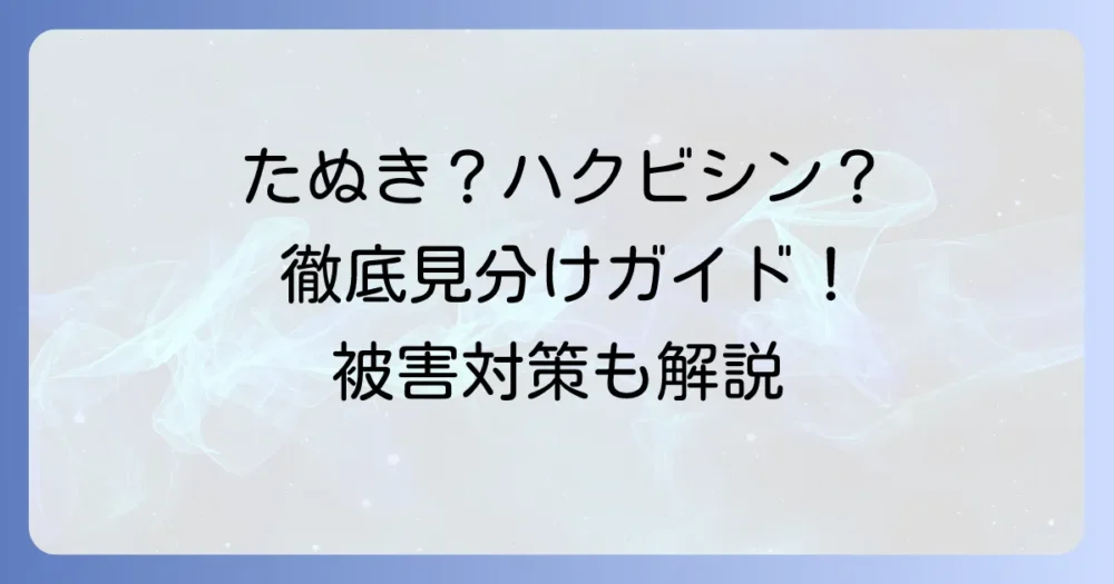 たぬきとハクビシンの違いを徹底解説！見分け方から生態・対策まで