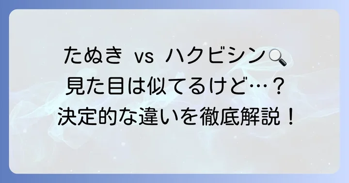 たぬきとハクビシン、それぞれの特徴を知る