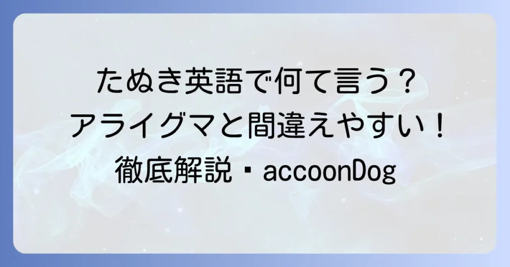 たぬきは英語で何と言う？「Raccoon Dog」の正しい使い方とアライグマとの違いを徹底解説