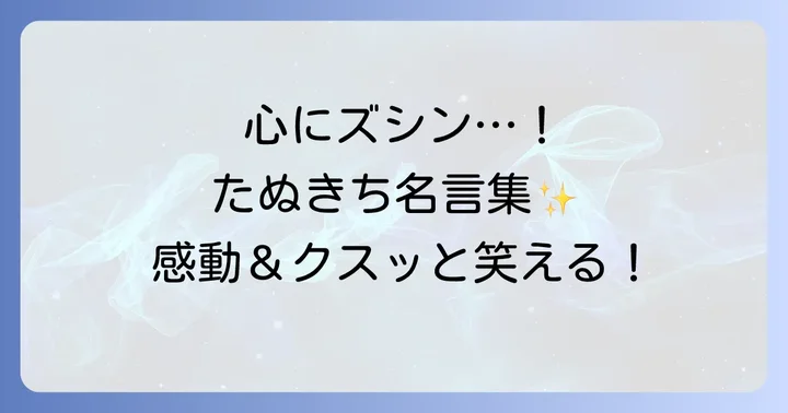 心に響く！たぬきちの印象的なセリフと名言集
