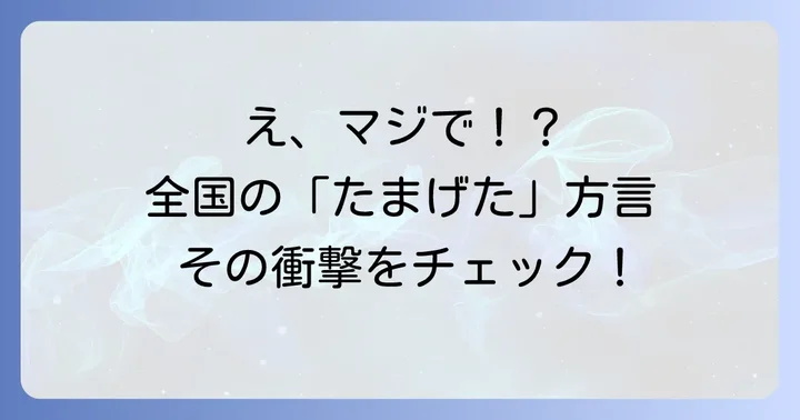 思わず二度聞き！全国のたまげた方言とその魅力