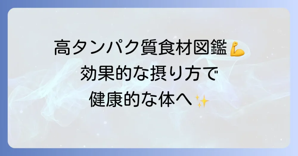 たんぱく質の食べ物選びに迷ったら！高タンパク質食材と効果的な摂り方