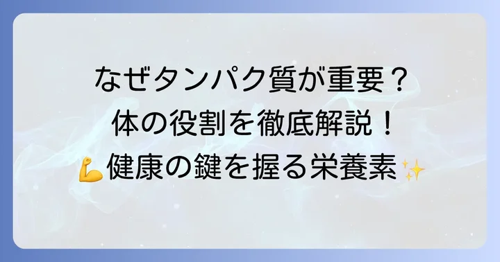 たんぱく質はなぜ大切？体にとっての役割を理解しよう