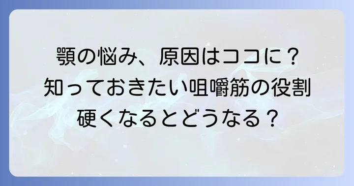 咀嚼筋とは？その役割と硬くなる原因