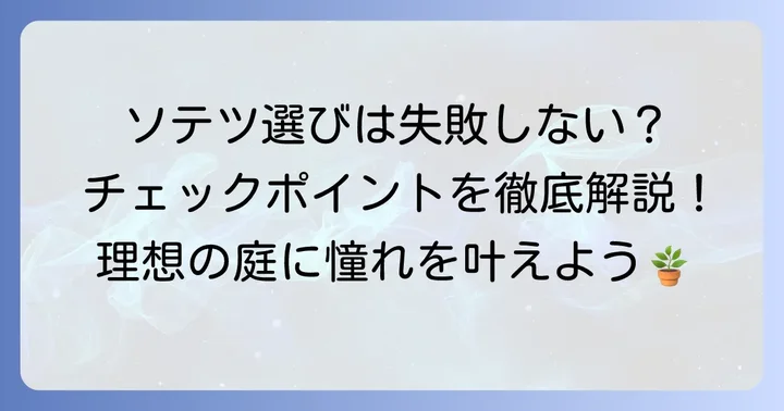 2mサイズのソテツを購入する前に確認したい重要ポイント