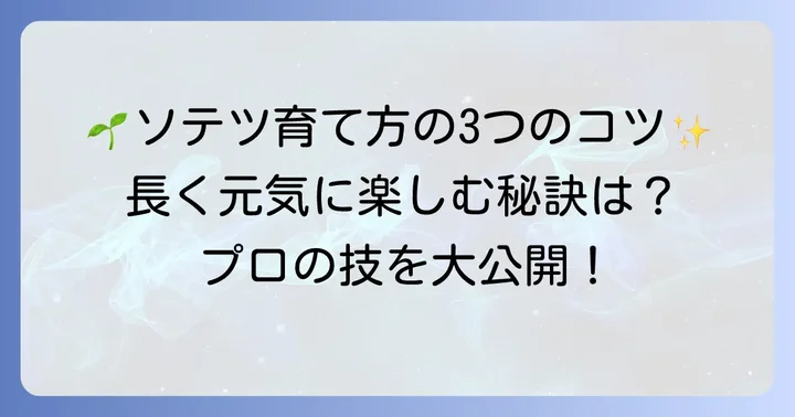 ソテツを長く楽しむための育て方と管理のコツ