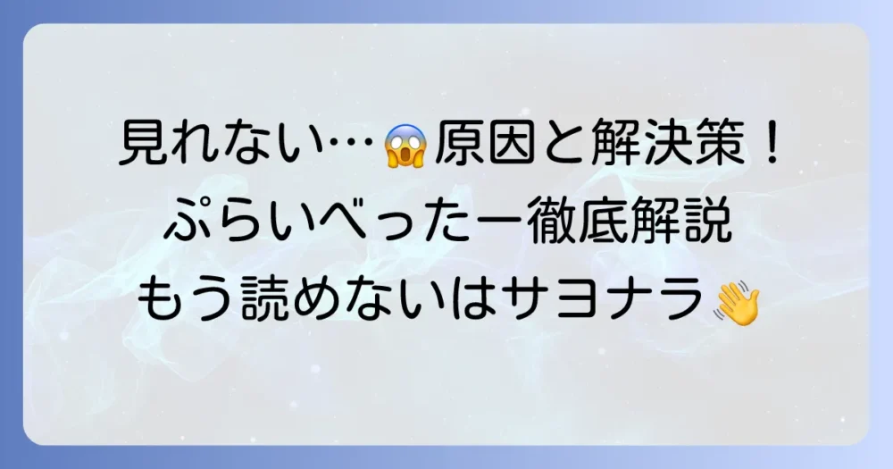 ぷらいべったーが見れない時の原因と対処法を徹底解説