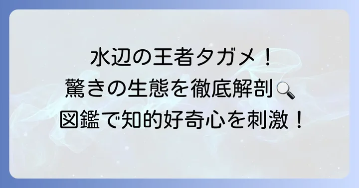 タガメの基本情報とものすごい生態