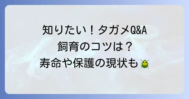 よくある質問