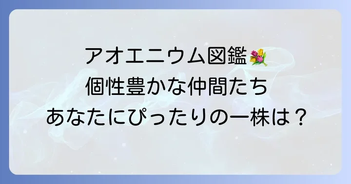 アオエニウムの代表的な種類とそれぞれの魅力