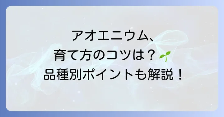 アオエニウムの種類別育て方のコツ