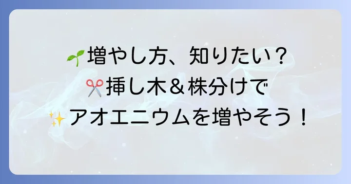 アオエニウムを増やす進め方