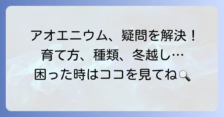 よくある質問